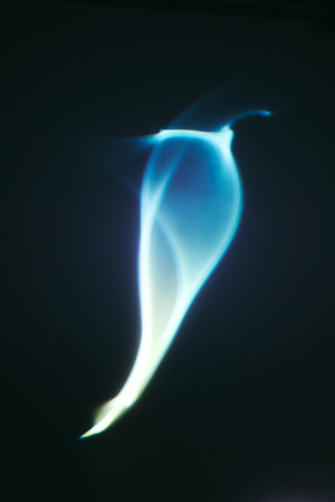 7_XG | SWITCH